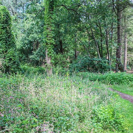 Huiske Oan T Bos Lage Mierde 外观 照片