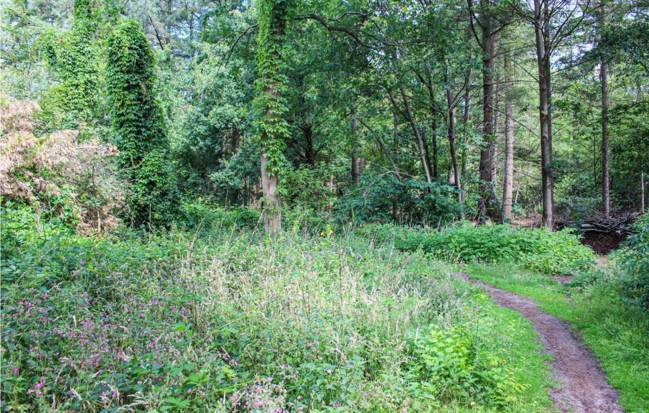 Huiske Oan T Bos Lage Mierde 外观 照片